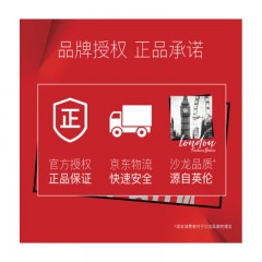 沙宣 洗发水 清盈顺柔 750ml（针对油性扁塌发质 水油平衡 轻盈蓬松 新老包装随机发货）