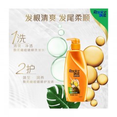 飘柔 洗发水 垂顺亮泽 染发修护（男士女士通用）花香调 750ml