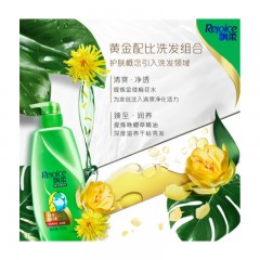 飘柔 洗发水 精油去屑（男士女士通用）花香调 750ml