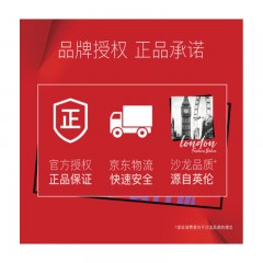 沙宣 男士洗发水 洁净去屑 700ml（深层去油 去屑止痒 新老包装随机发货）