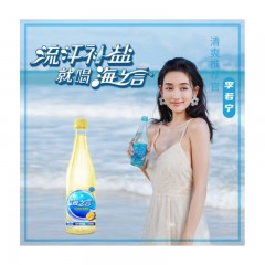 统一 海之言 百香果口味 地中海海盐+百香果 500mlX15瓶箱 整箱装