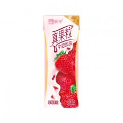 蒙牛 真果粒 牛奶饮品（草莓）250g×12 盒装