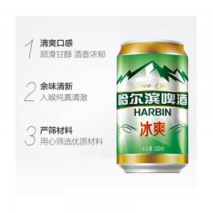 哈尔滨 冰爽啤酒 330mlX24罐 整箱装