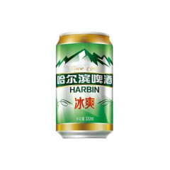 哈尔滨 冰爽啤酒 330mlX24罐 整箱装