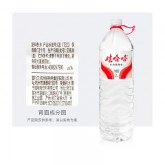 娃哈哈 纯净水 饮用水 家庭办公会议用水 2LX8瓶 整箱装
